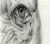 Heribert Elzer Details